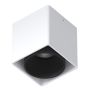   Quest Light BOX-PULSAR ED WHITE/BLACK