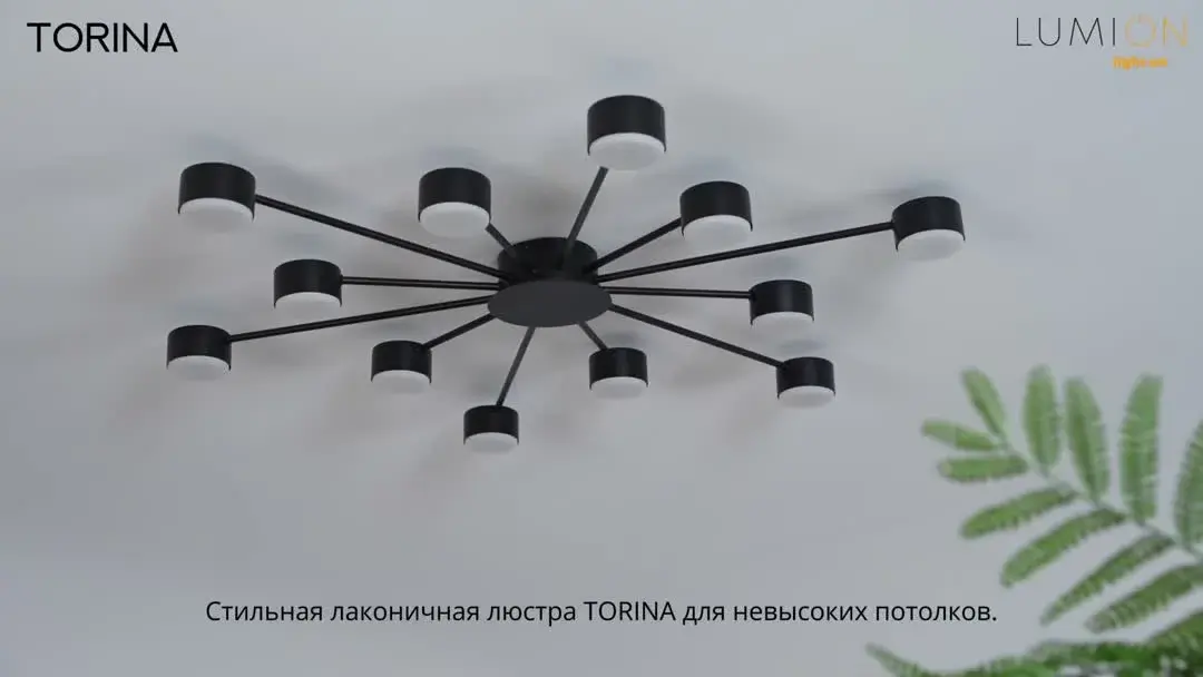 Видеообзор — Потолочная люстра из матового черного металла с двенадцатью направленными плафонами современного дизайна