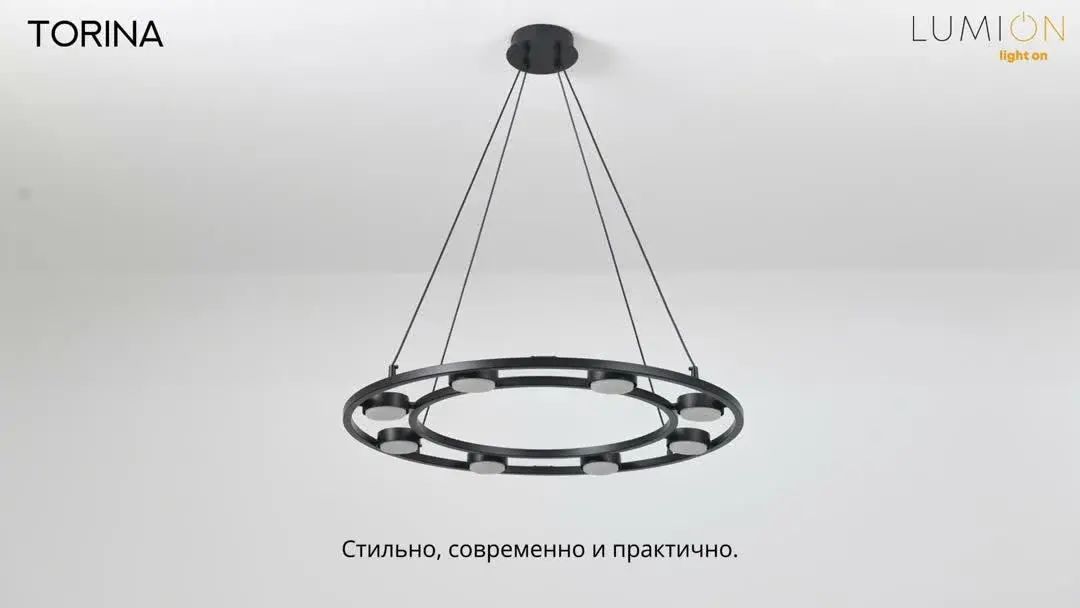 Видеообзор — Подвесная люстра из матового черного металла с открытым каркасом и шестью направленными плафонами