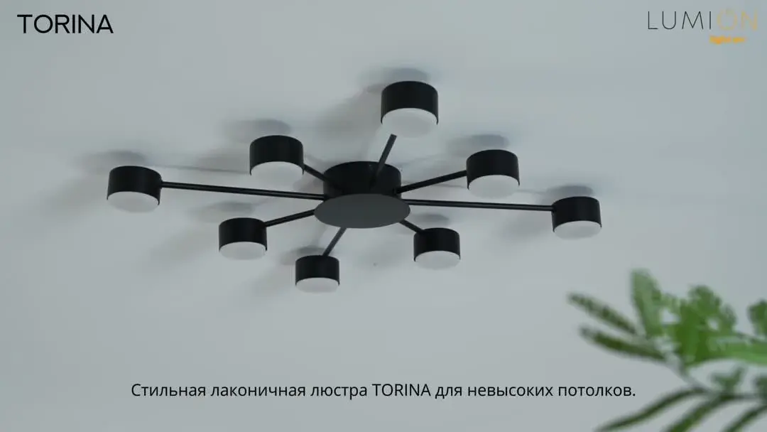 Видеообзор — Потолочная люстра Lumion на 6 ламп, матовый черный металл, геометричный дизайн в стиле минимализм