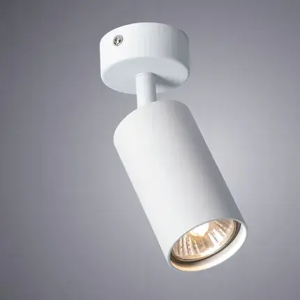 Спот Arte Lamp A3216PL-1WH AQUARIUS — белый, ракурс 2
