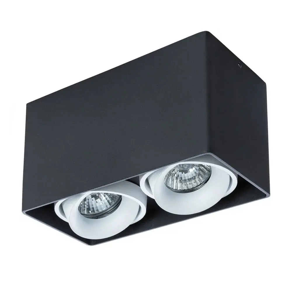 Точечный светильник Arte Lamp A5654PL-2BK PICTOR — черный
