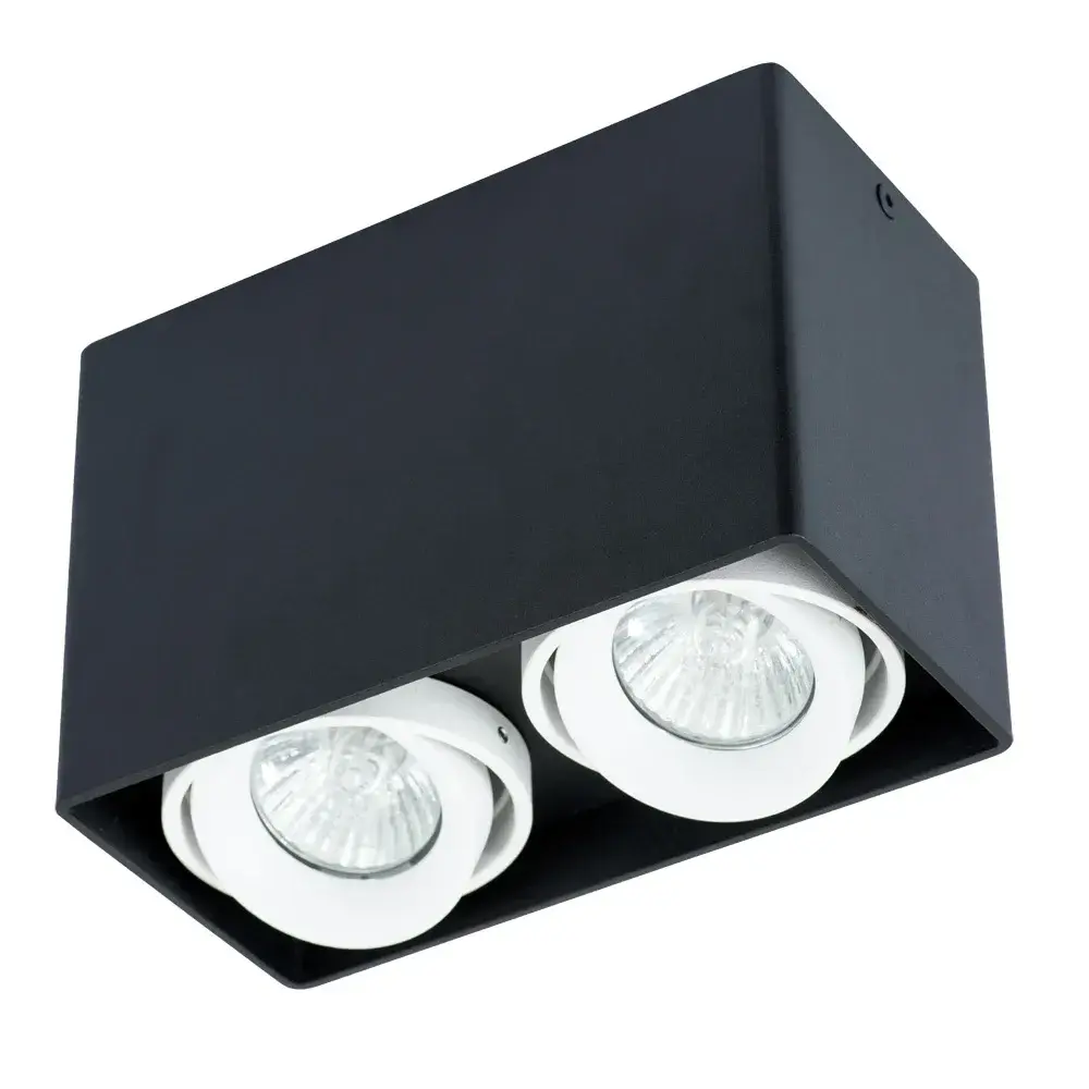 Точечный светильник Arte Lamp A5655PL-2BK PICTOR — черный
