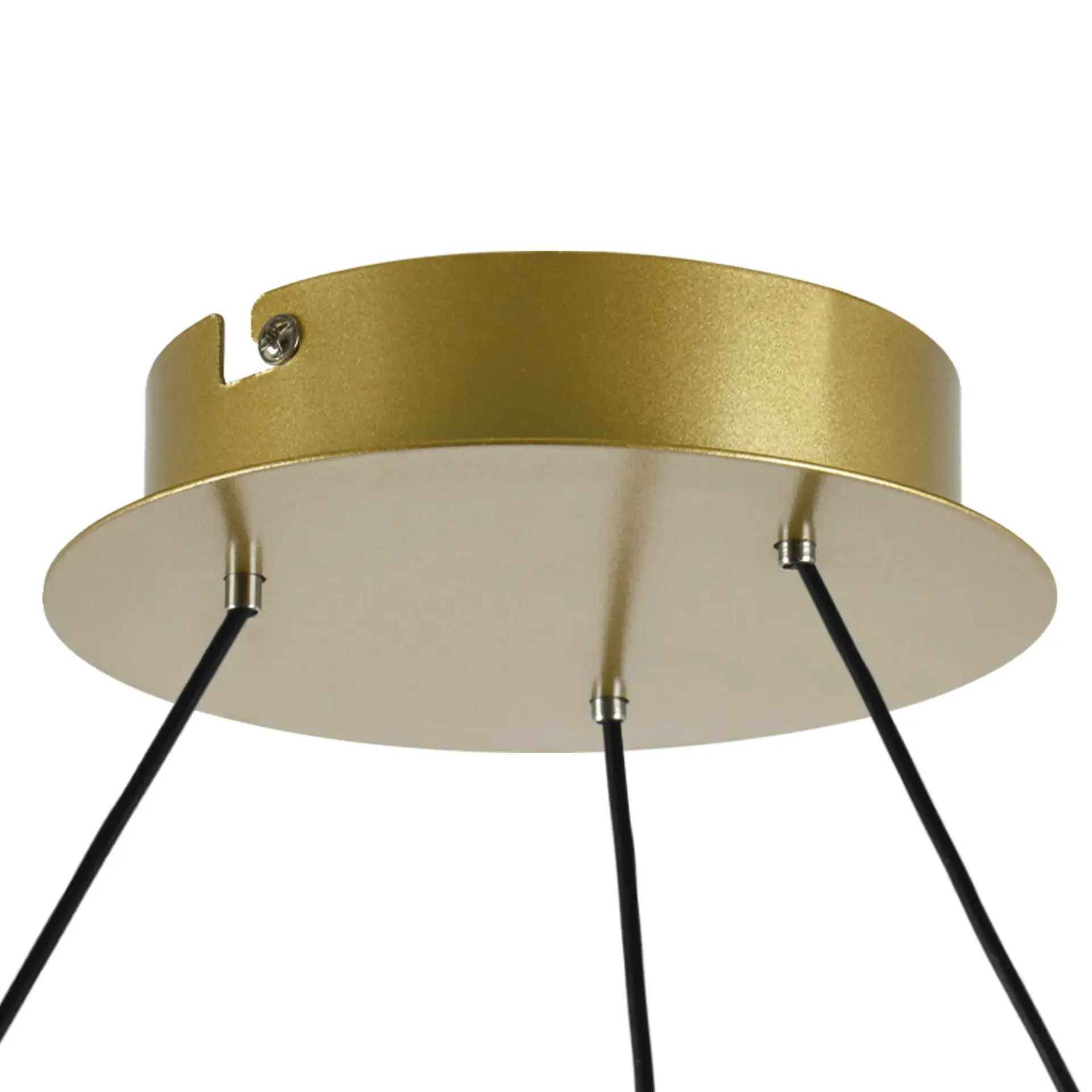 Светильник Lightstar 736181 ROTONDA — черный, ракурс 2