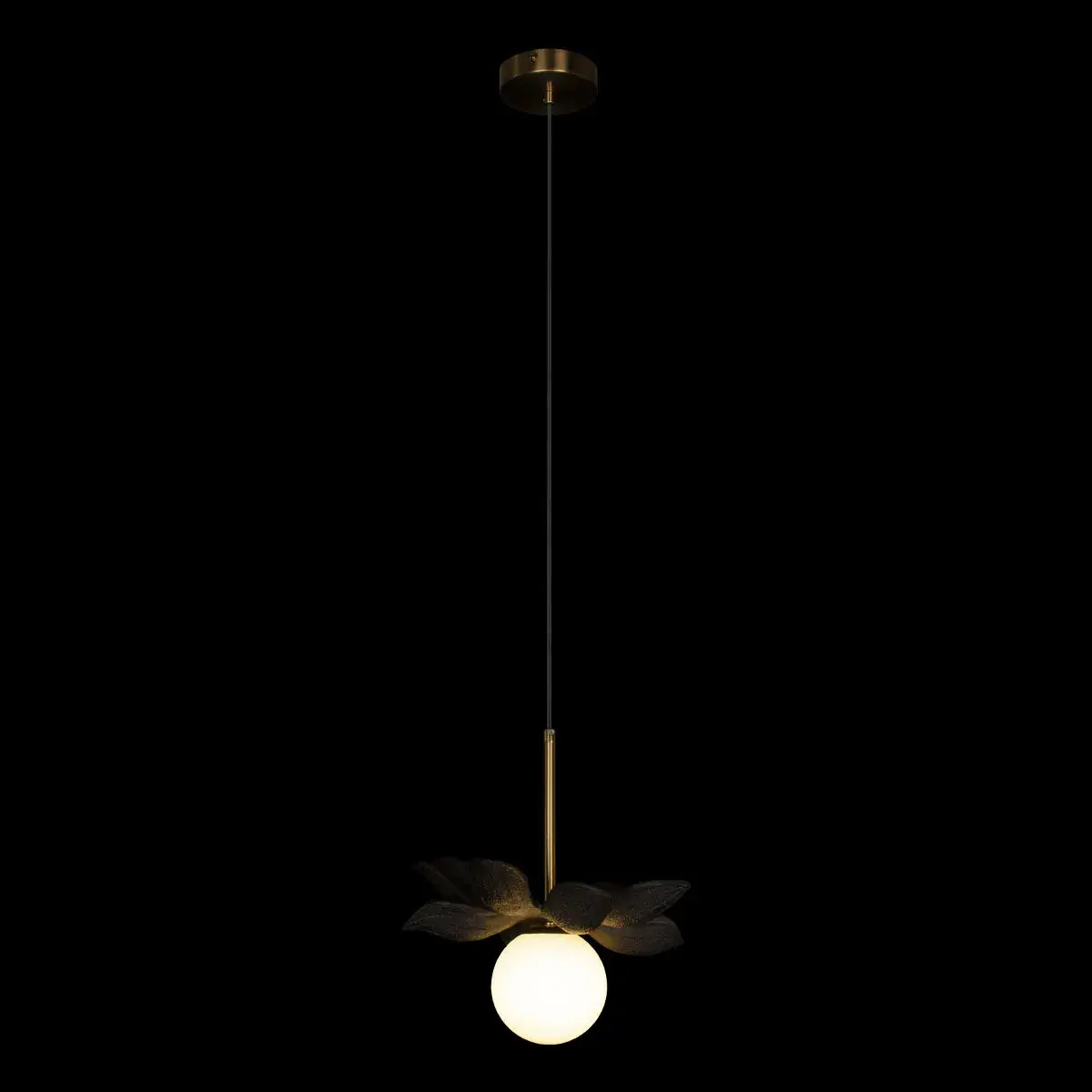 Светильник Loft IT 10213/B Black MONRO — золотой, ракурс 2