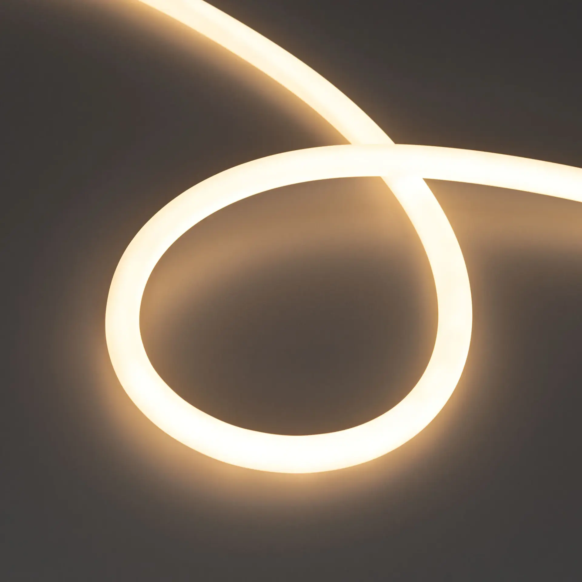 Гибкий неон MOONLIGHT-TOP-S-M560-D13mm 24V Warm3000 (13 W/m, IP65, 5m, wire x1, трос)