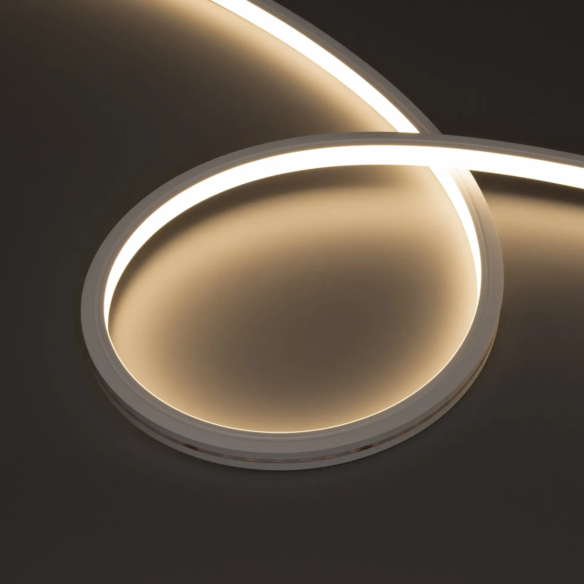 Гибкий неон MOONLIGHT-PRO-TOP-X336-13x12mm 24V RGBW-Day (12 W/m, IP67, 10m, wire x2), ракурс 2