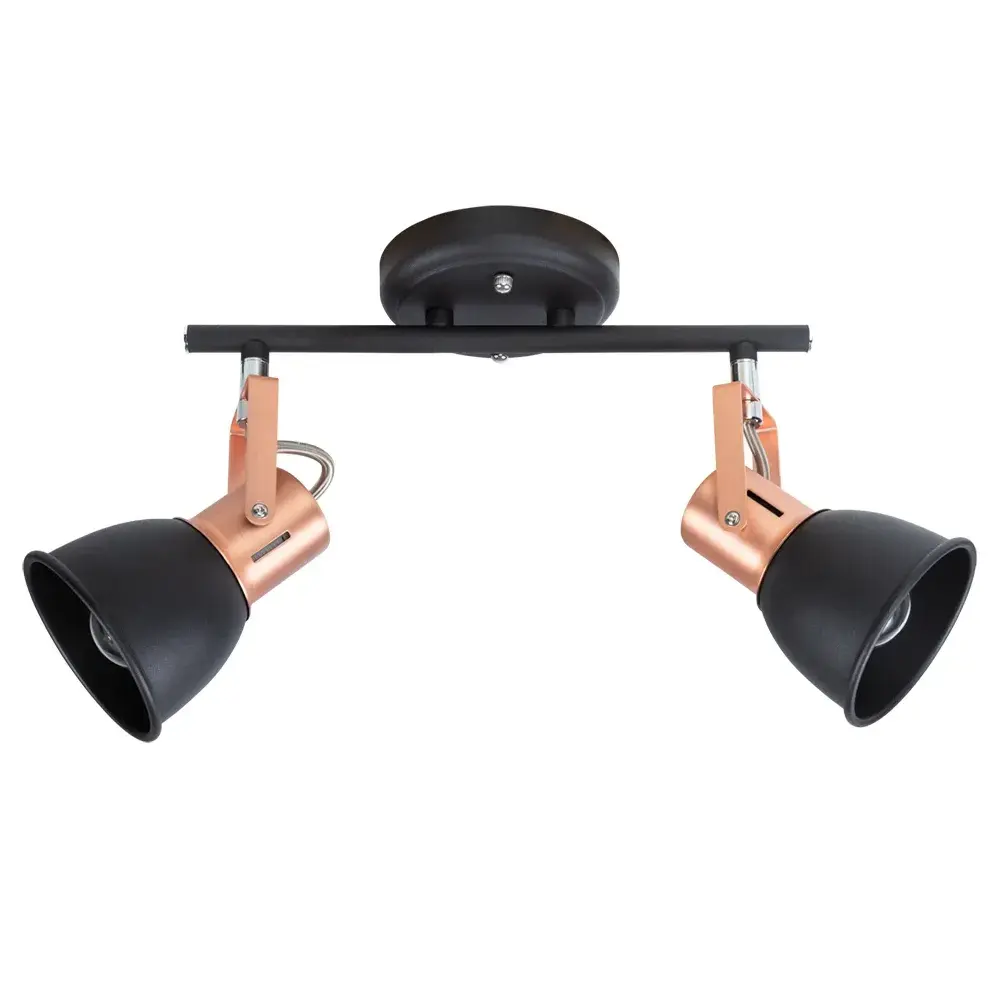 Спот Arte Lamp A1677PL-2BK JOVI — черный