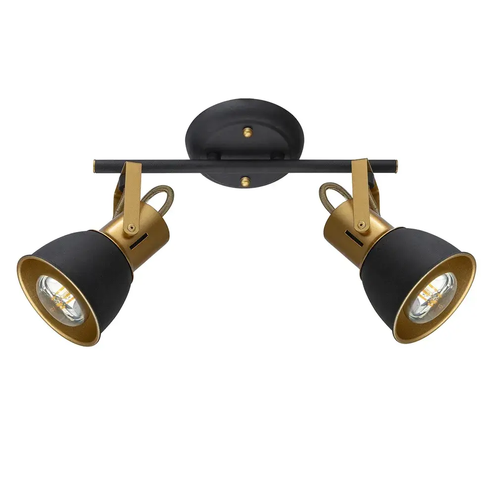 Спот Arte Lamp A1677PL-2GO JOVI — черный