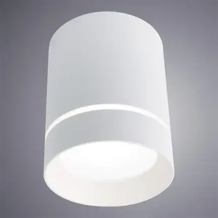 Точечный светильник Arte Lamp A1909PL-1WH ELLE — белый