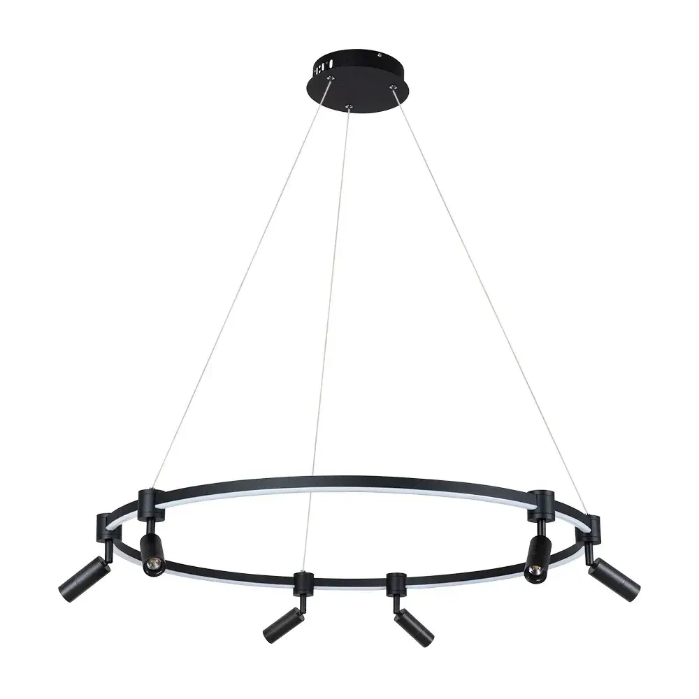 Светильник Arte Lamp A2186SP-1BK RING — черный