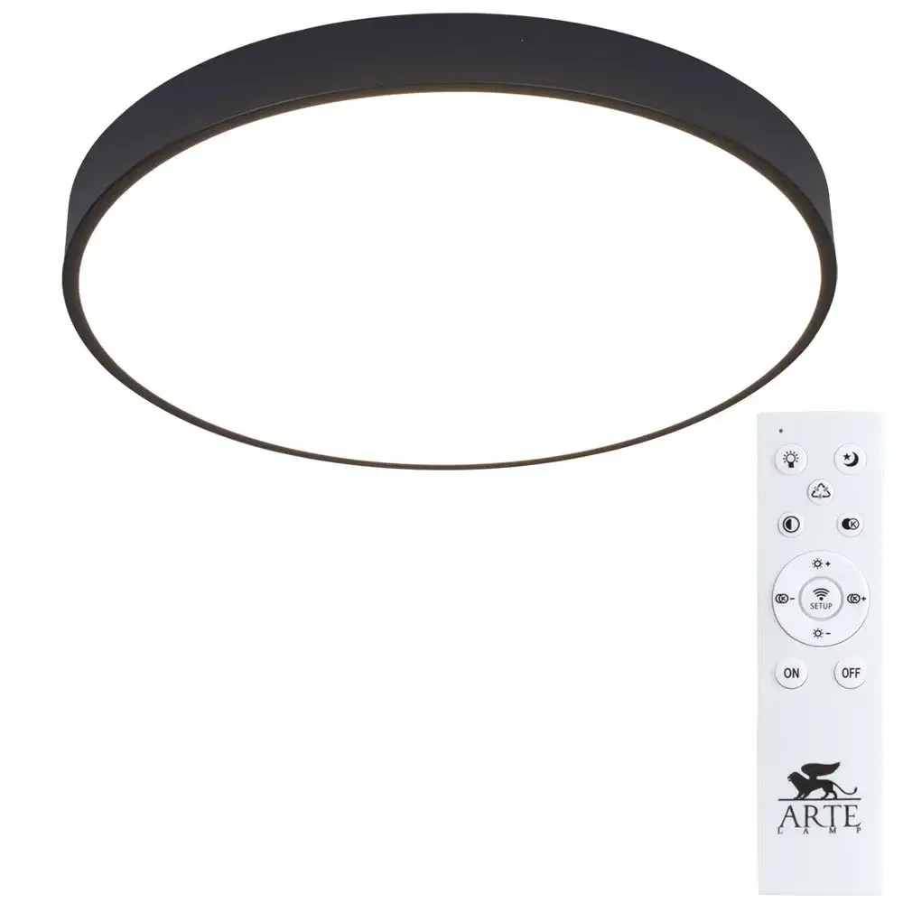 Светильник Arte Lamp A2672PL-1BK ARENA — черный