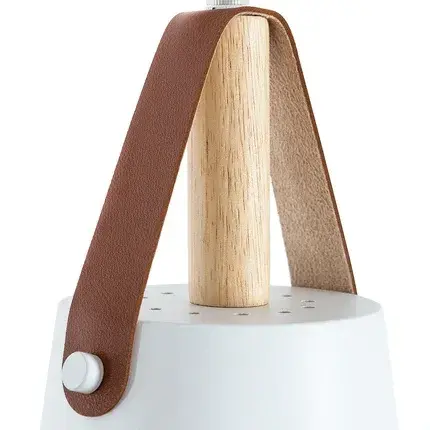 Светильник Arte Lamp A7032SP-1WH THOMAS — белый