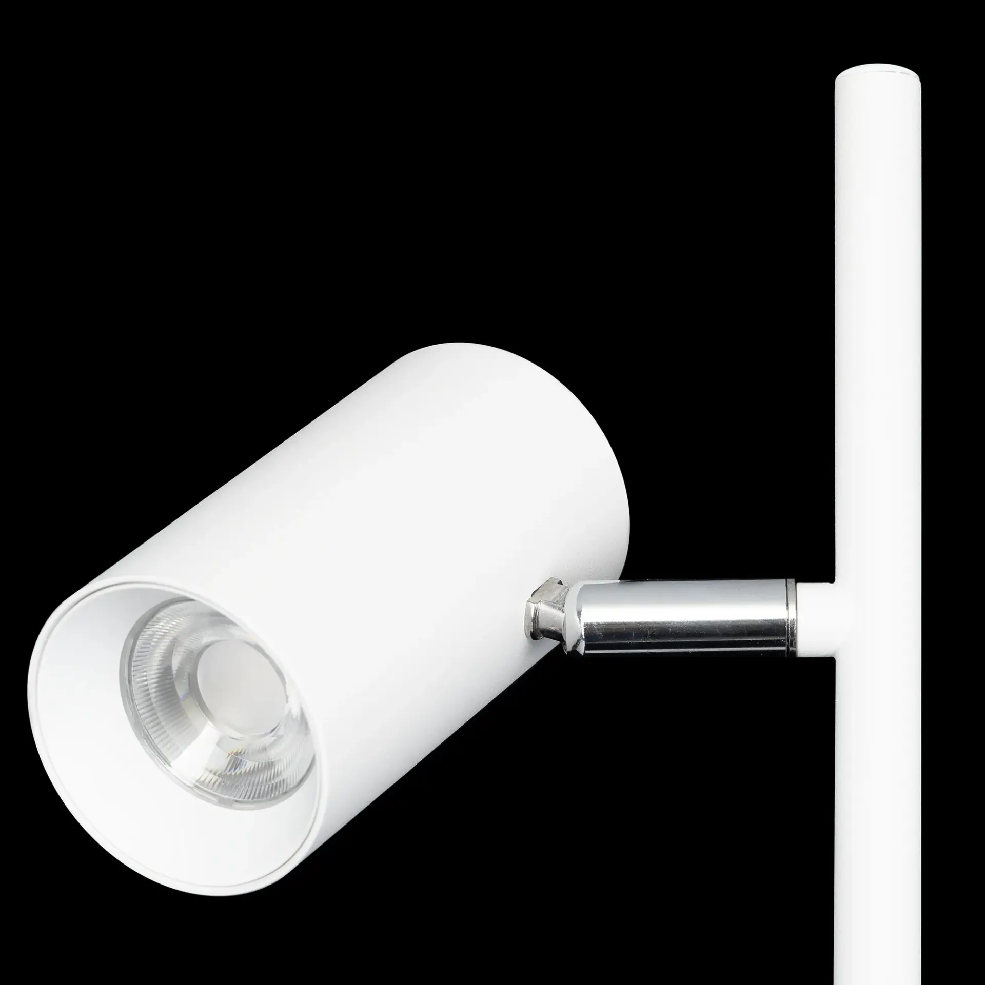 Торшер Citilux CL809010N TWIN — белый, ракурс 6