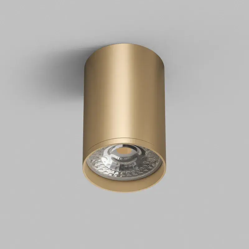 Точечный светильник Denkirs DK2050-SG TUBE | ТЬЮБ — золотой, ракурс 5