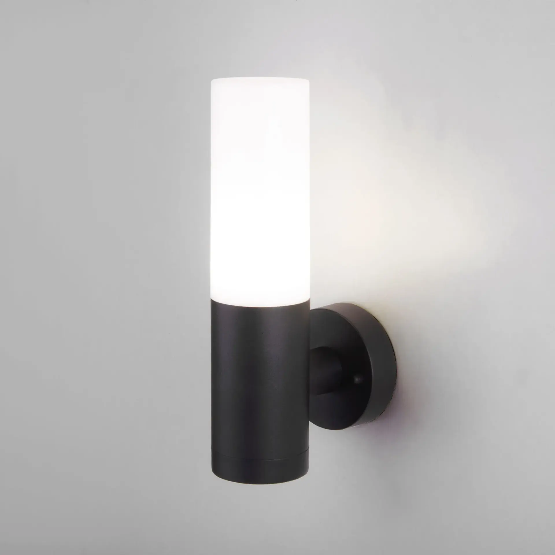 Уличный светильник Elektrostandard 1418 TECHNO/(a049717) GLAS — черный