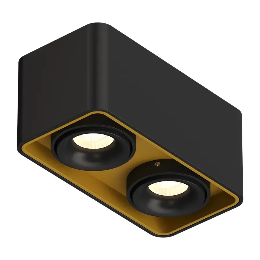 Точечный светильник Ledron TUBING 2 Black-Gold — черный
