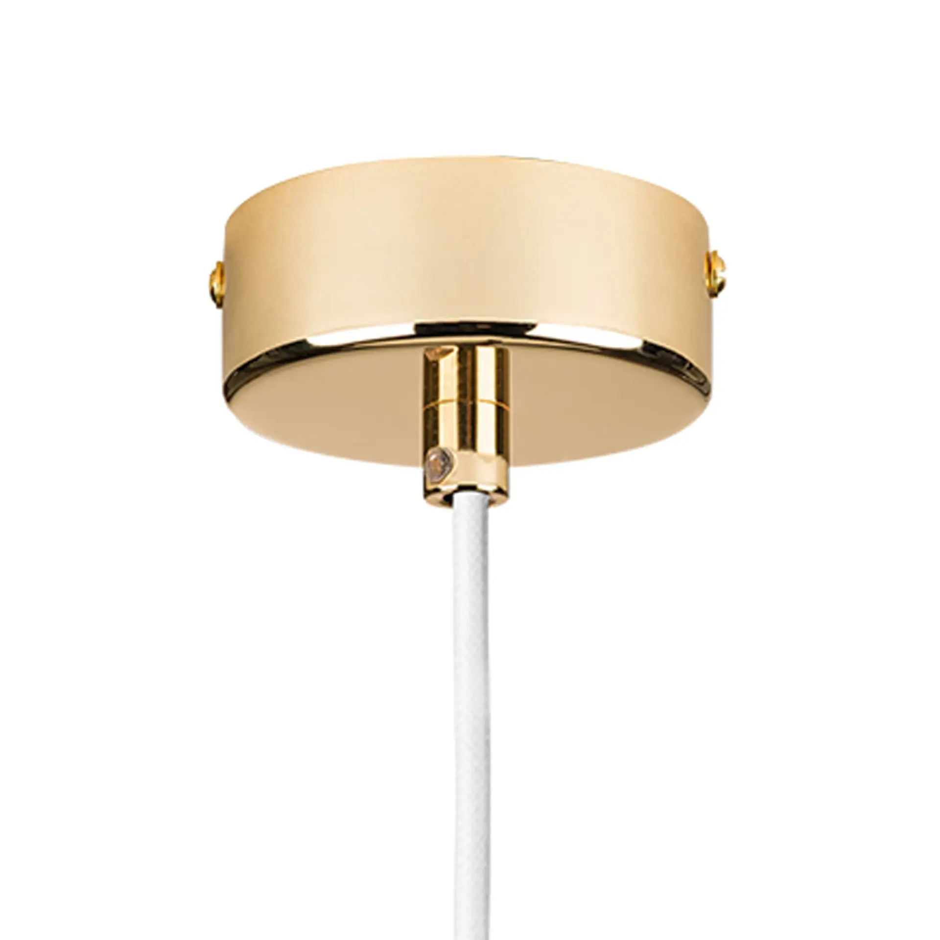 Светильник Lightstar 816016 DUMO — золотой, ракурс 6