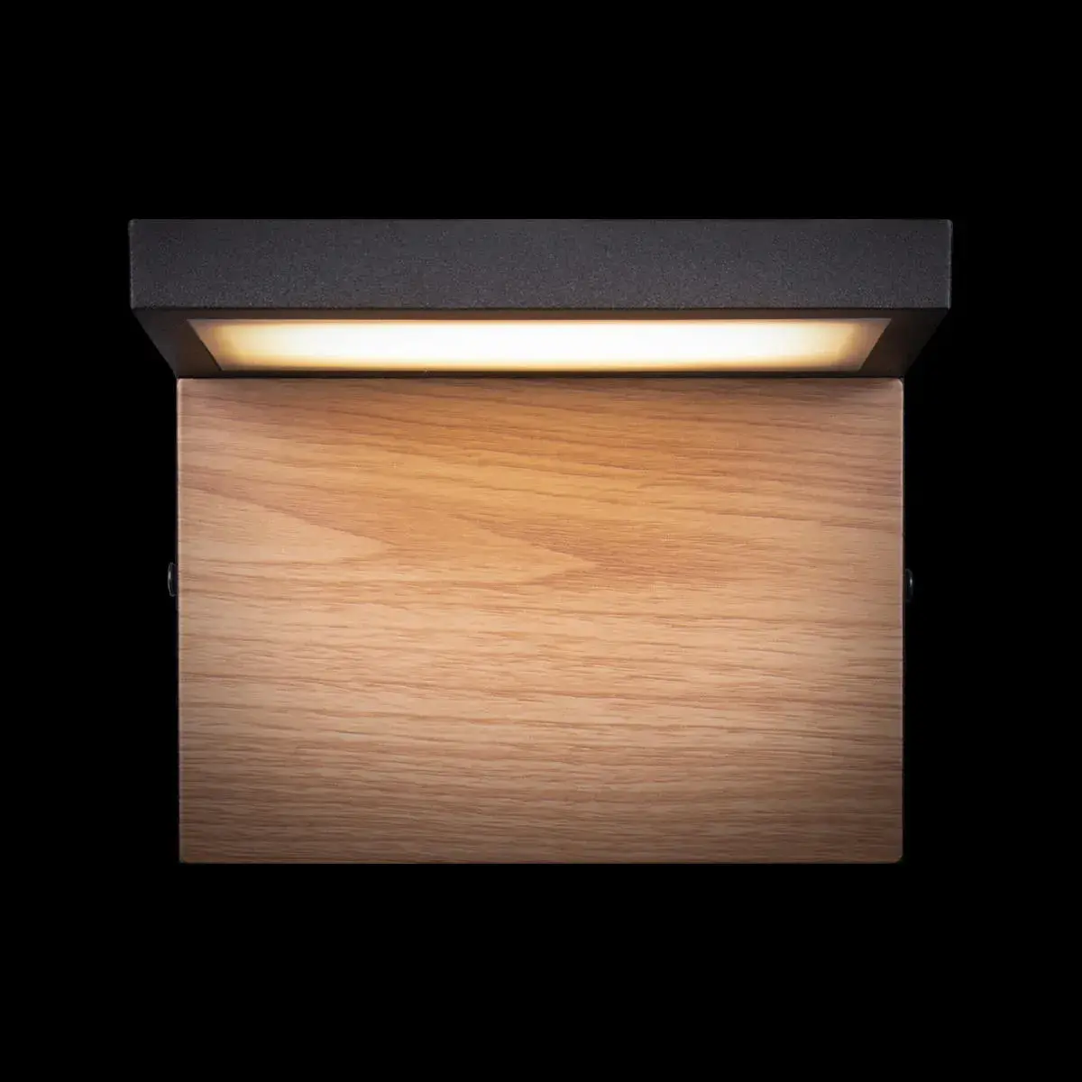 Светильник для улицы Loft IT 100001W OAK — черный, ракурс 7