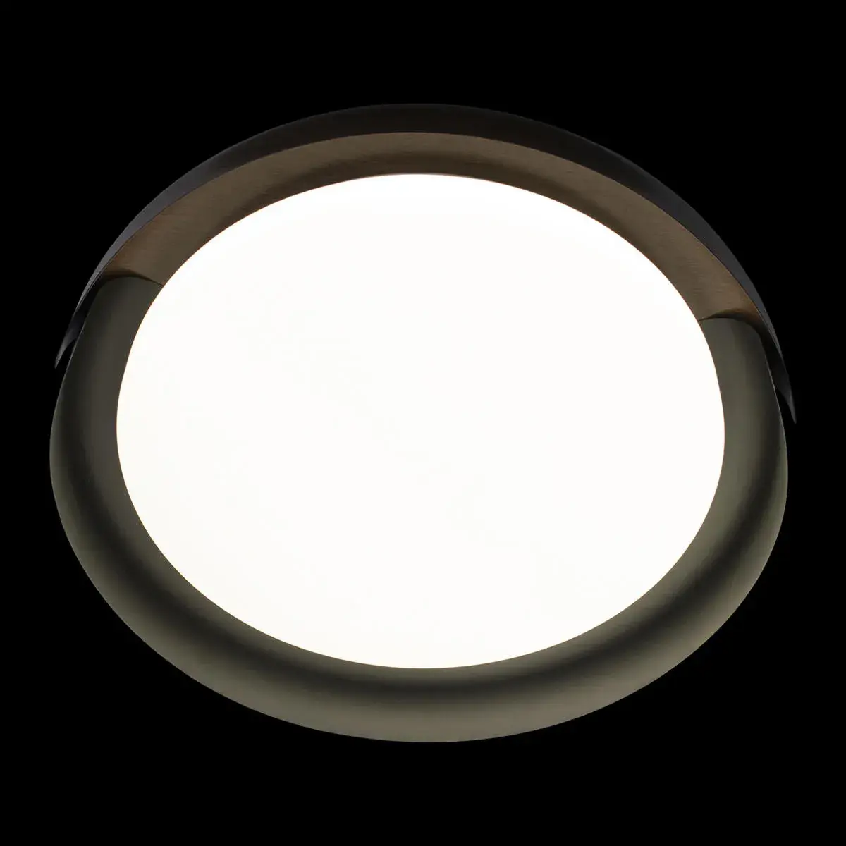 Светильник Loft IT 10198 Black COIN — черный