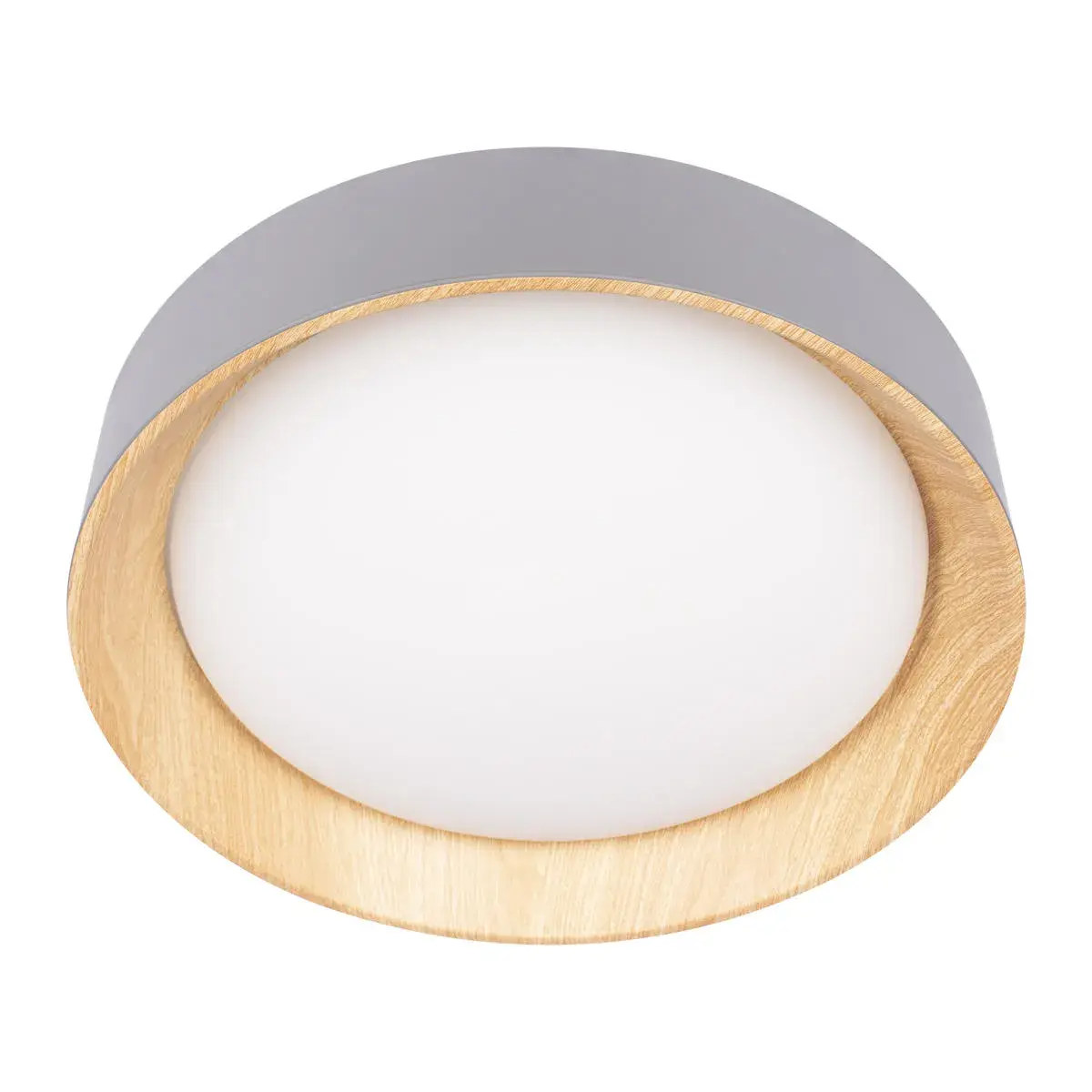 Светильник Loft IT 10202 Grey COIN — серый, ракурс 5