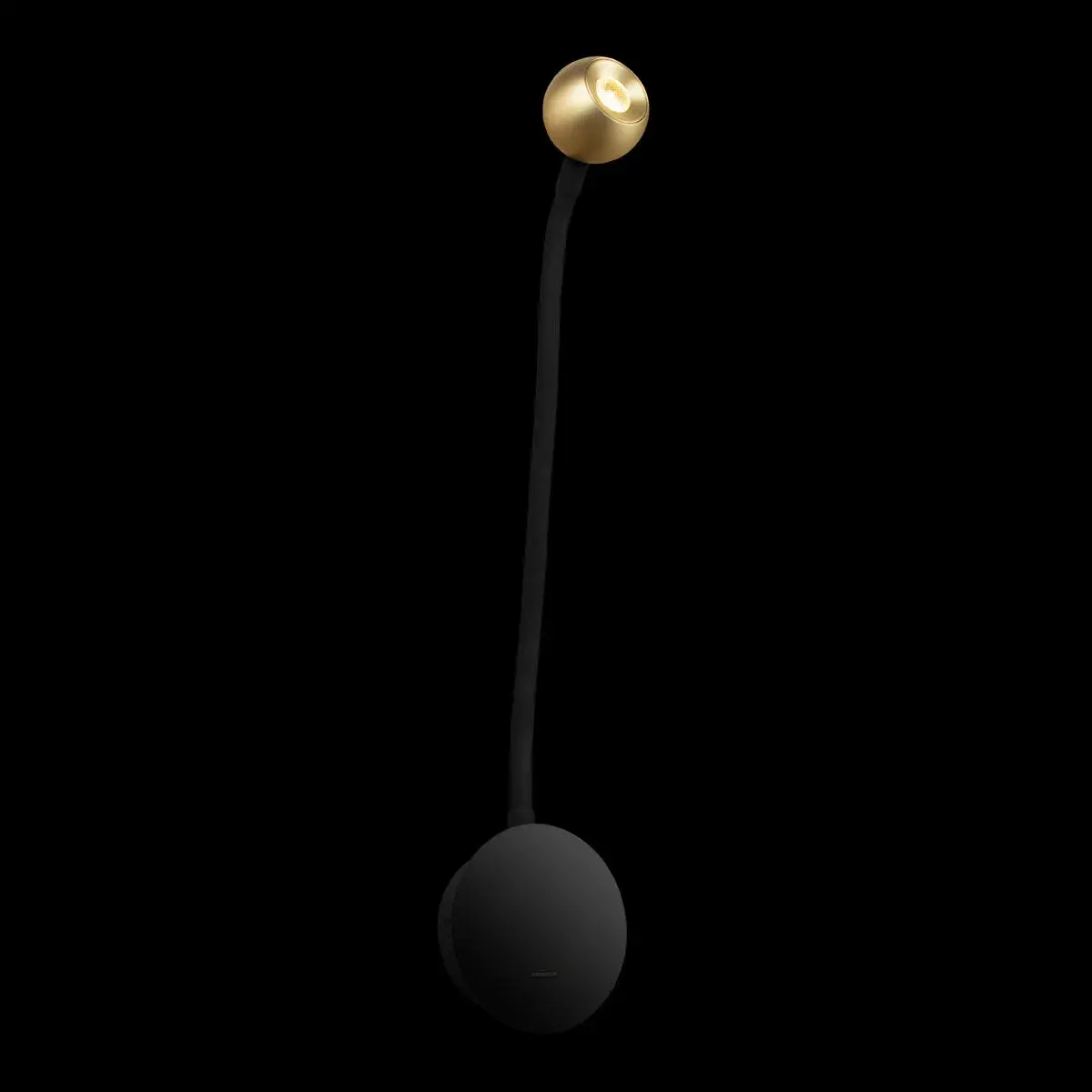 Бра Loft IT 10254 Brass POINT — черный, ракурс 4