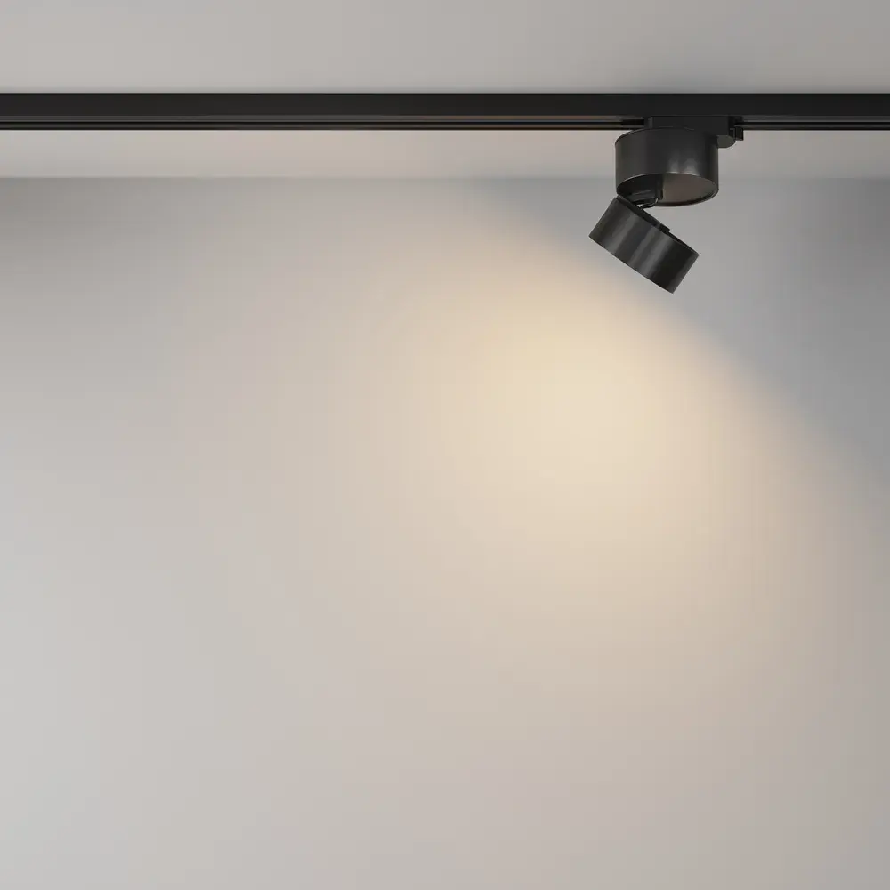 Трековый светильник Maytoni TRACK LAMPS — однофазные, черный, ракурс 6