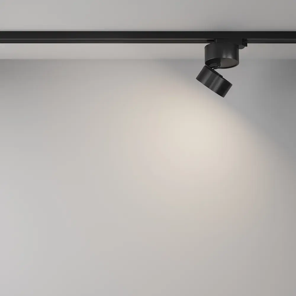 Трековый светильник Maytoni TRACK LAMPS — однофазные, черный, ракурс 6