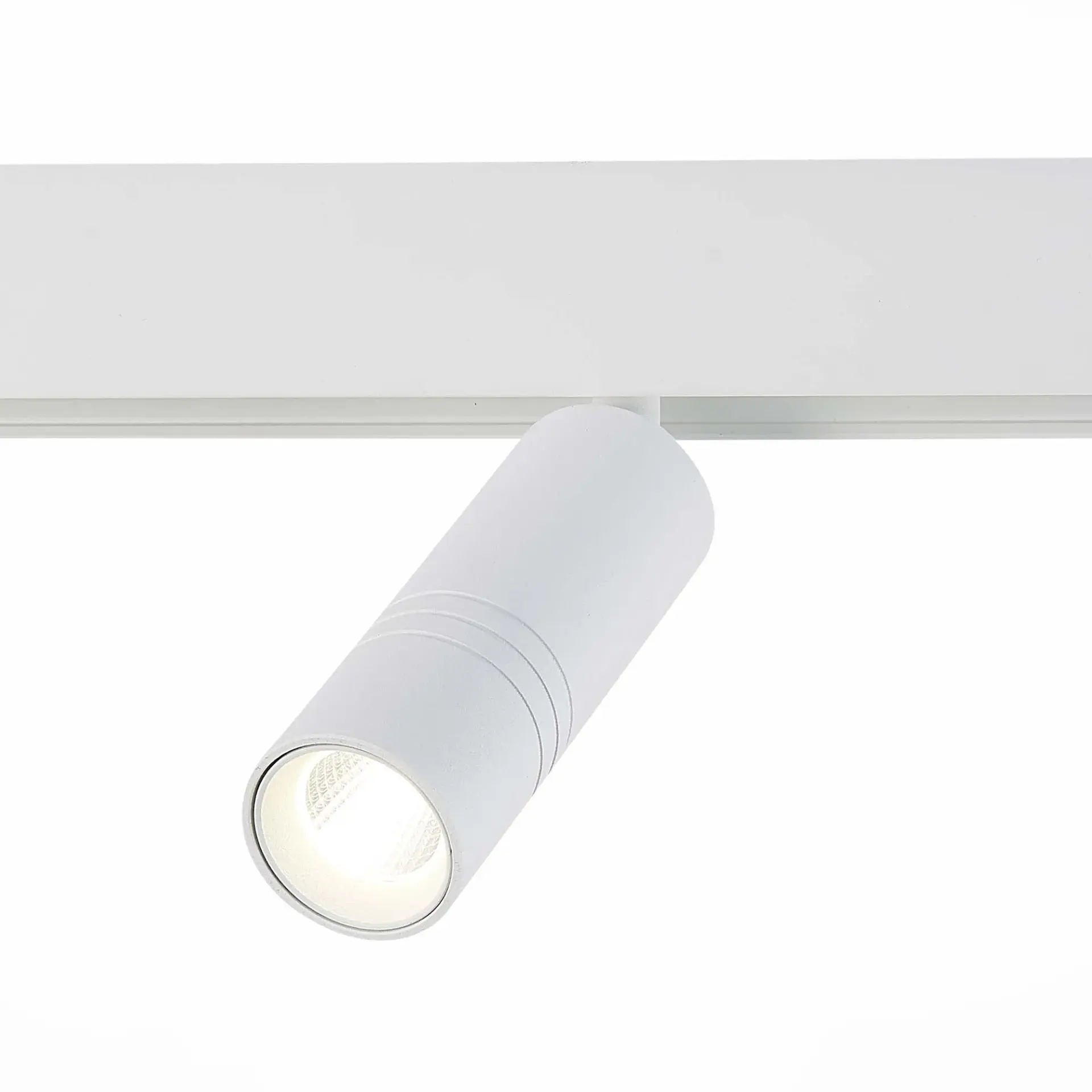 Трековый светильник ST Luce ST365.546.12 СКАЙЛАЙН 48V — белый