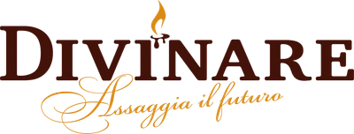 Логотип Divinare